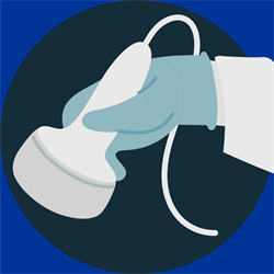 ACP POCUS 5:  Urinary System