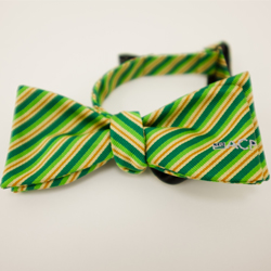 ACP Green Stripes Bowtie