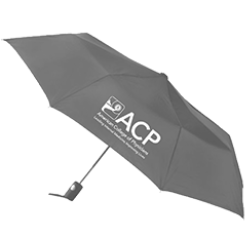 ACP ShedRain Charcoal Umbrella
