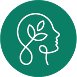 Primary Care Psychiatry: Practical Skills for Internal Medicine Physicians Recordings Package