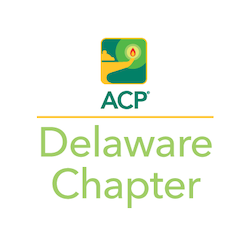 Delaware Chapter Fund